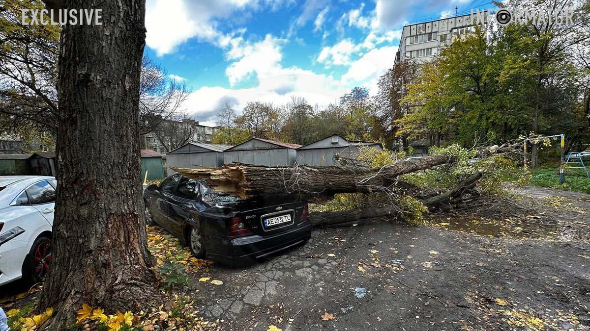 “Три года писали в разные инстанции”: в Днепре на Янгеля из-за сильного ветра дерево упало на Chevrolet
