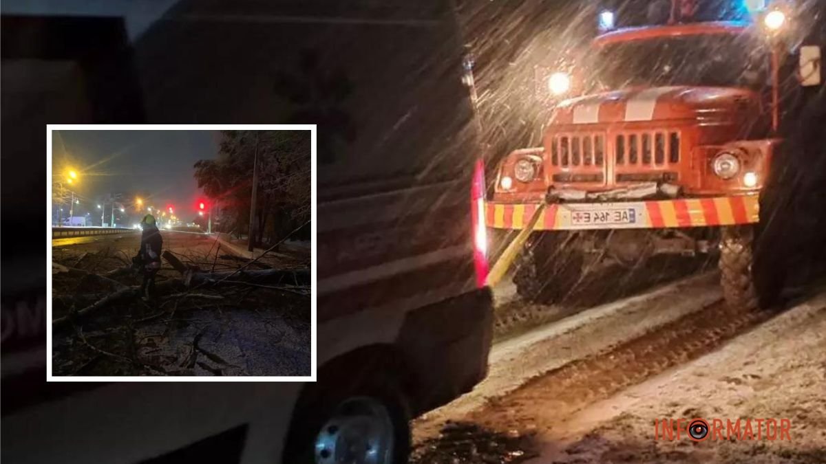 Повалені дерева та автівки у снігу: як минула перша сніжна ніч у Дніпрі та області