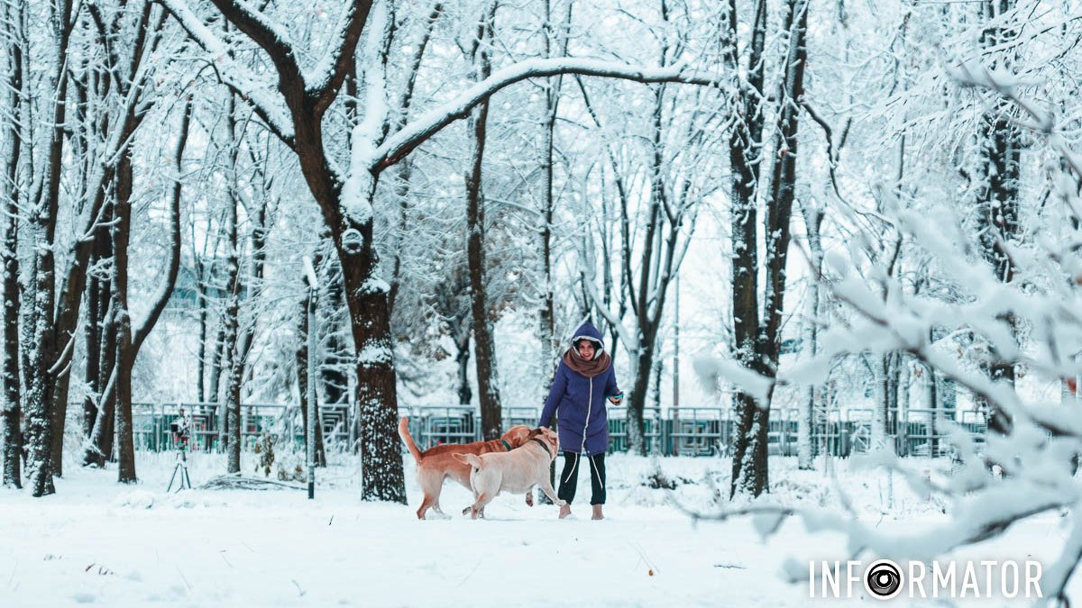 “Поцілунок зими”: як виглядає Дніпро “в обіймах” першого снігу