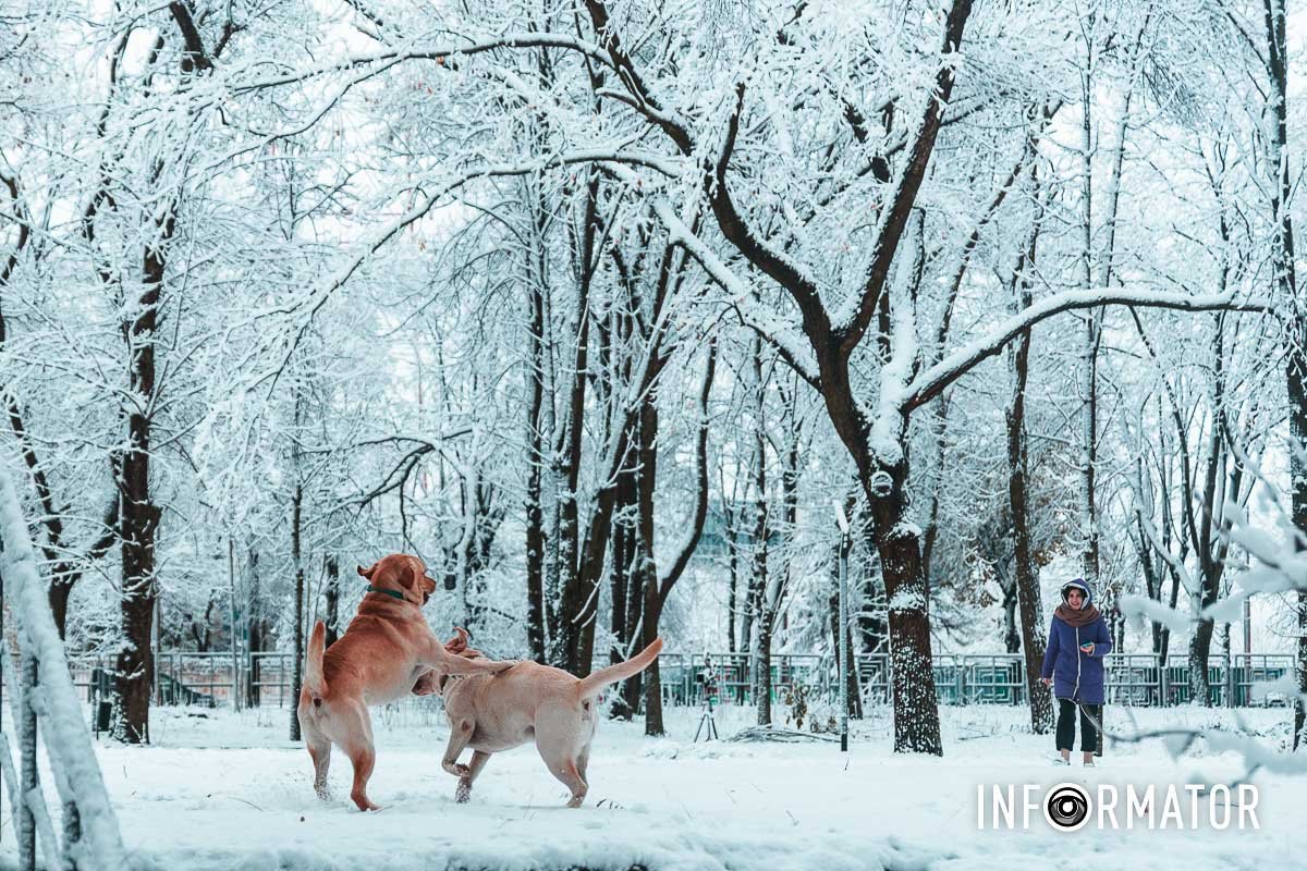 Малечі подобається Малечі подобається
