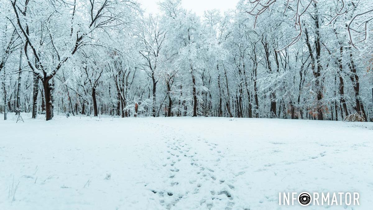 Хуртовина та до 20 сантиметрів снігу: мешканців Дніпра та області попередили про погіршення погоди