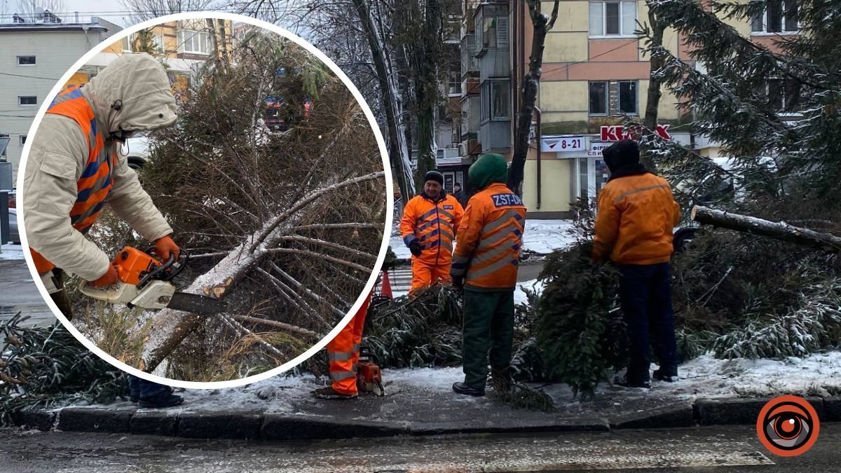 В Днепре на Гагарина ветер вырвал с корнями 10-метровую елку