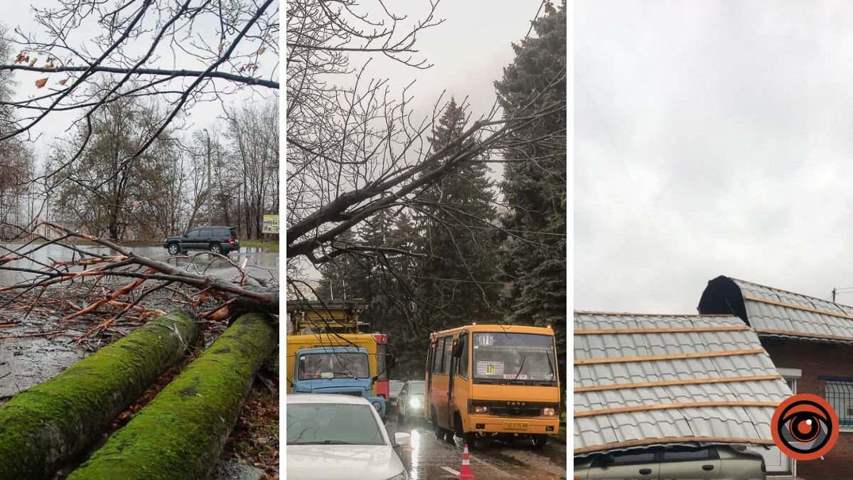 Падаючі дерева, затримки транспорту та зірваний дах: наслідки буревію у Дніпрі