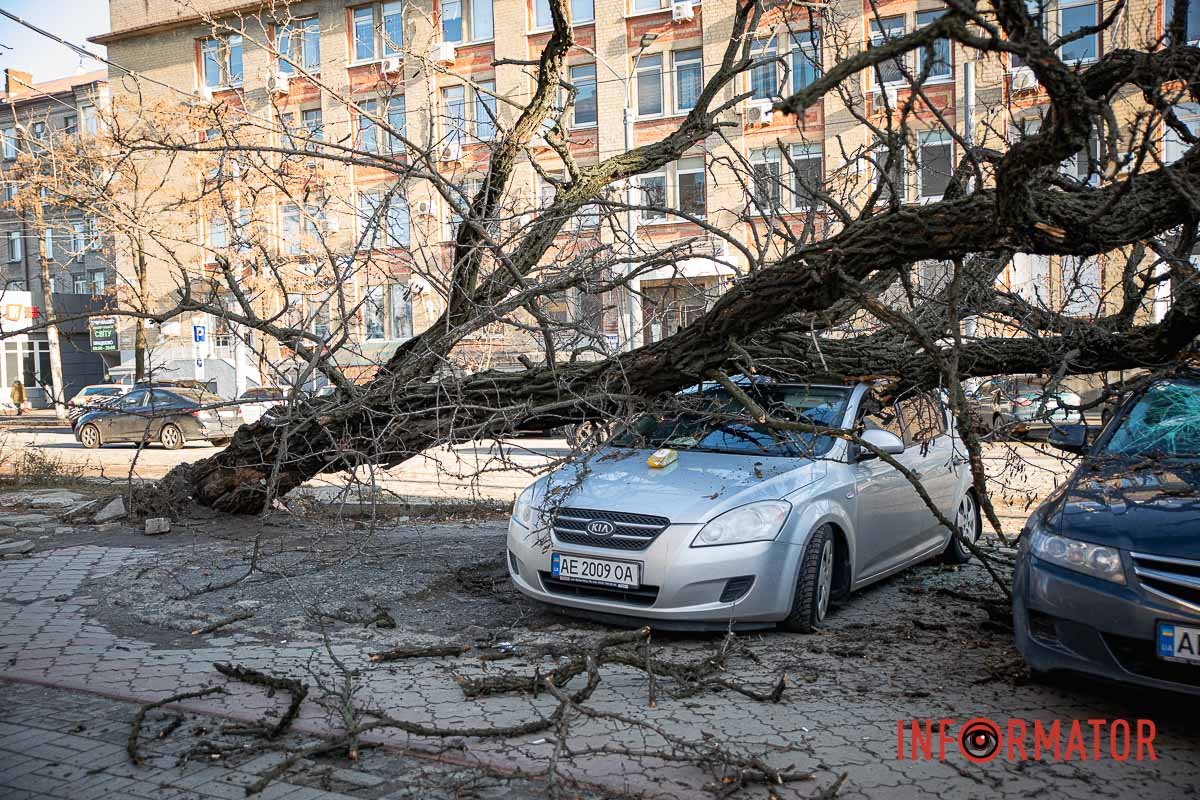 В Днепре на Пастера четырехметровое дерево обрушилось на два автомобиля.  Читайте на UKR.NET