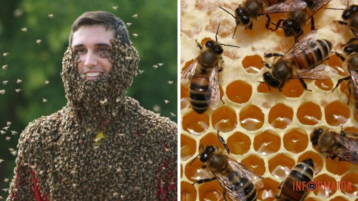 Пыльца, маточное молочко и пчелиный яд: в Минздраве развенчали популярные мифы об альтернативной медицине