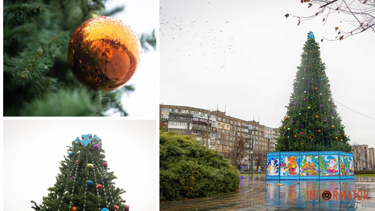 Настоящая изюминка: в Днепре в сквере "Прибрежный" смонтировали новогоднюю елку