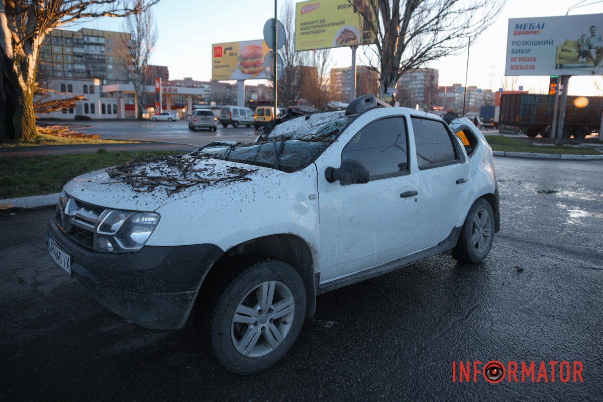 В Днепре на Донецком шоссе возле ТРЦ «Караван» дерево раздавило Renault и  зацепило фуру. Читайте на UKR.NET