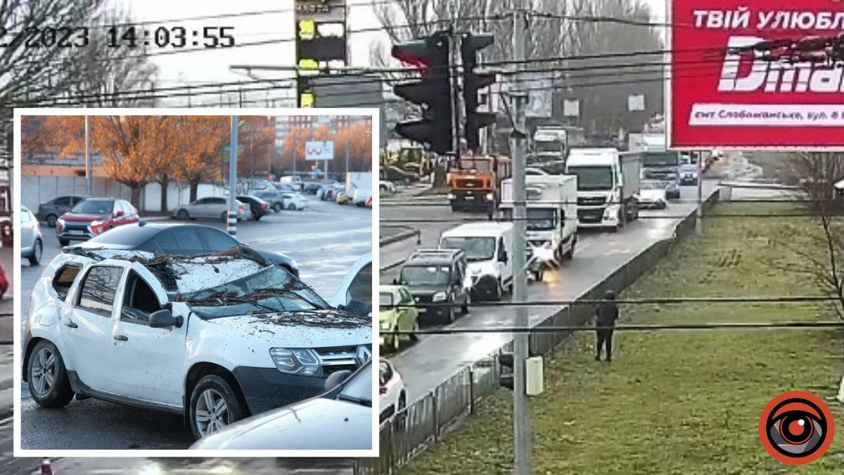 В Днепре на Донецком шоссе дерево упало на Renault и DAF и чуть не задело человека: видео момента
