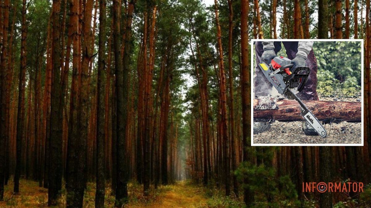 Хотел спилить на дрова: в Солонянском районе на голову мужчины упало дерево