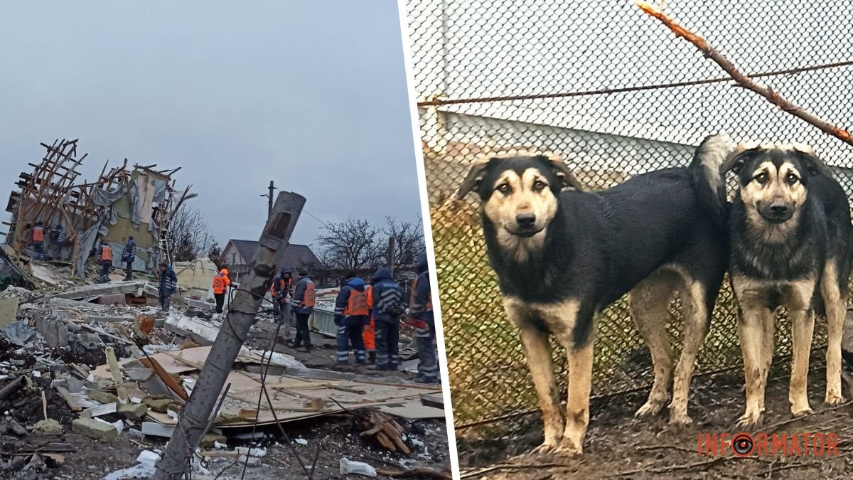 Чудом осталась жива: обломок сбитой ракеты разрушил дом зооволонтерки в  пригороде Днепра