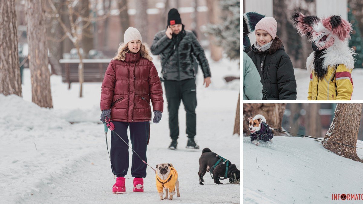Собаки, дети и маски: как проводили выходные жители Днепра в парке Шевченко