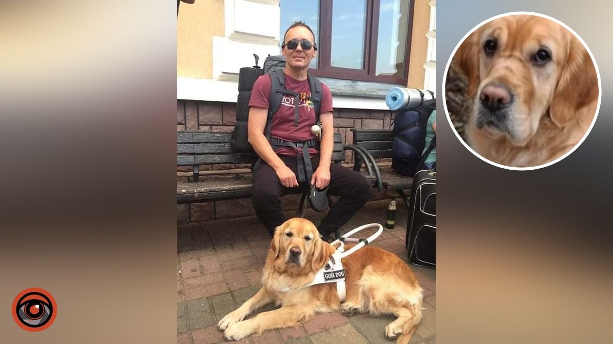 Злякався гучних звуків та втік: до жителя Дніпропетровської області через два роки повернувся собака-поводир