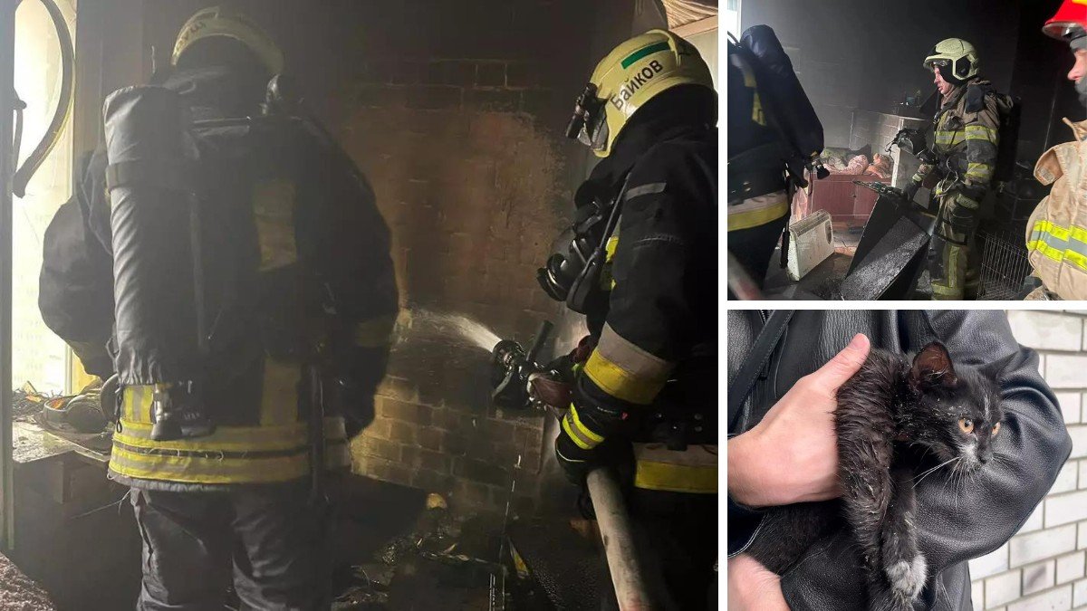 У Дніпрі на Крутогірному узвозі сталася пожежа у 16-поверхівці: надзвичайники врятували кота