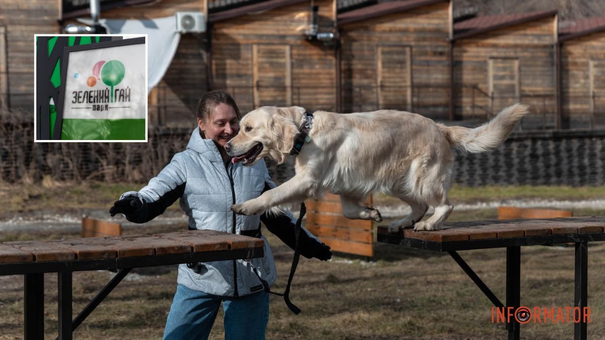 В Днепре в парке Зеленый Гай появилась площадка для тренировки собак: как она выглядит