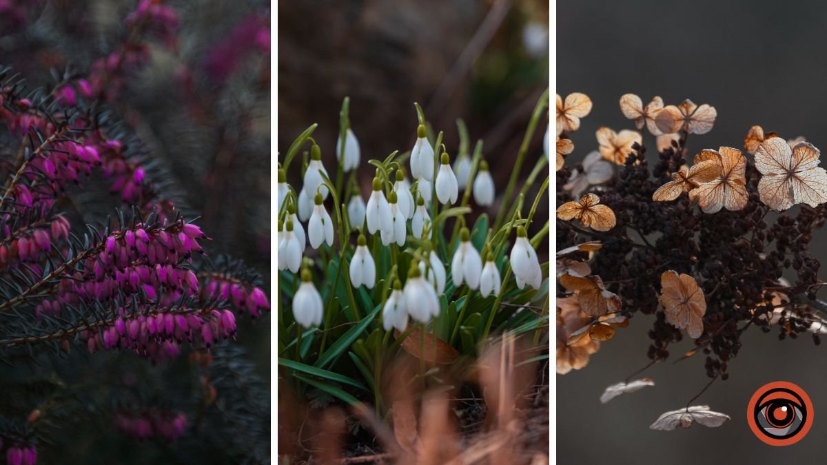 Природа оживає: як пройшов перший день весни у ботанічному саду у Дніпрі