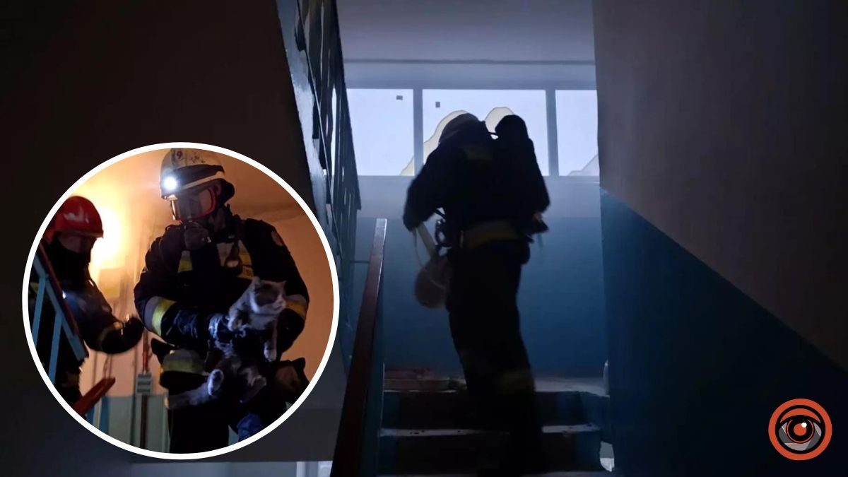 В Днепре на Соколе горела квартира в 9-этажке: спасли 2 человека и кота