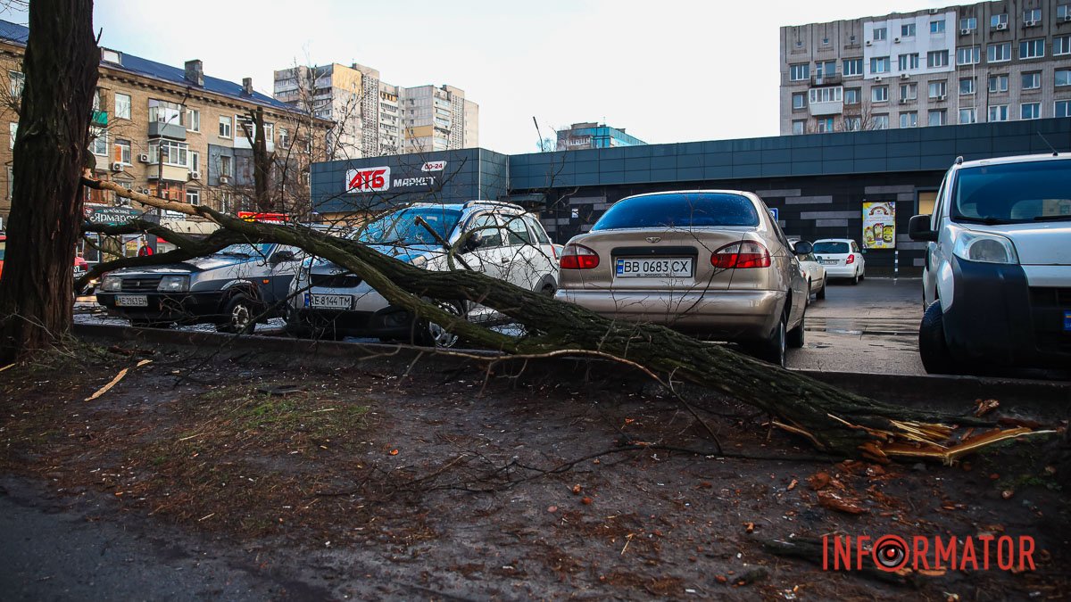 В Днепре на Независимости напротив ТРЦ Appolo дерево упало на машины на парковке