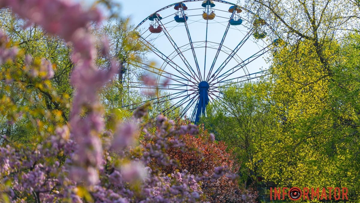 Цветущие деревья и пение птиц: как выглядит парк Глобы солнечным весенним днем