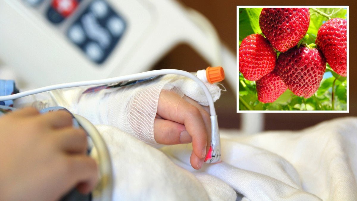 Шок та поліорганна недостатність: у лікарні Дніпра помер 6-річний хлопчик, який з’їв полуницю