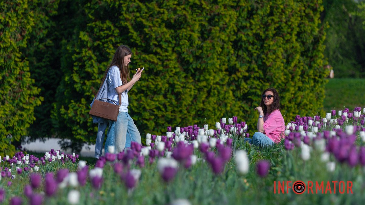 Поле тюльпанів, сакури, бузок та мигдалеві дерева: де у парку Шевченка у Дніпрі знайти локації для фотосесії