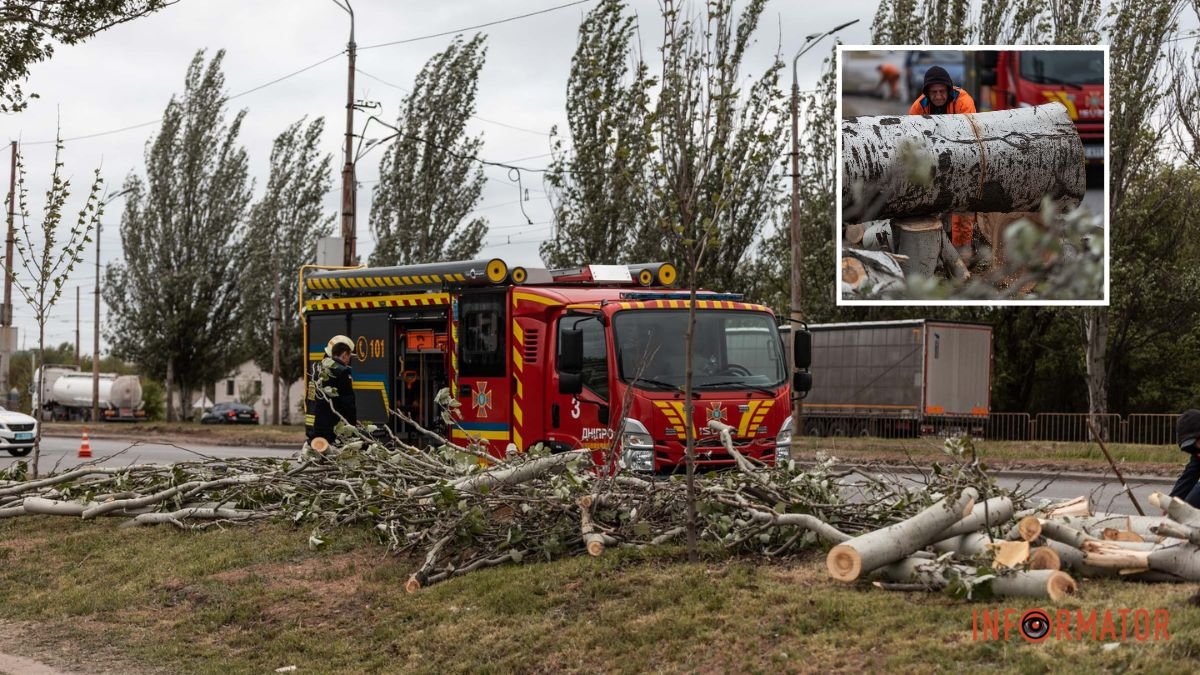 В Днепре ураган валит деревья: какая ситуация на Донецком шоссе