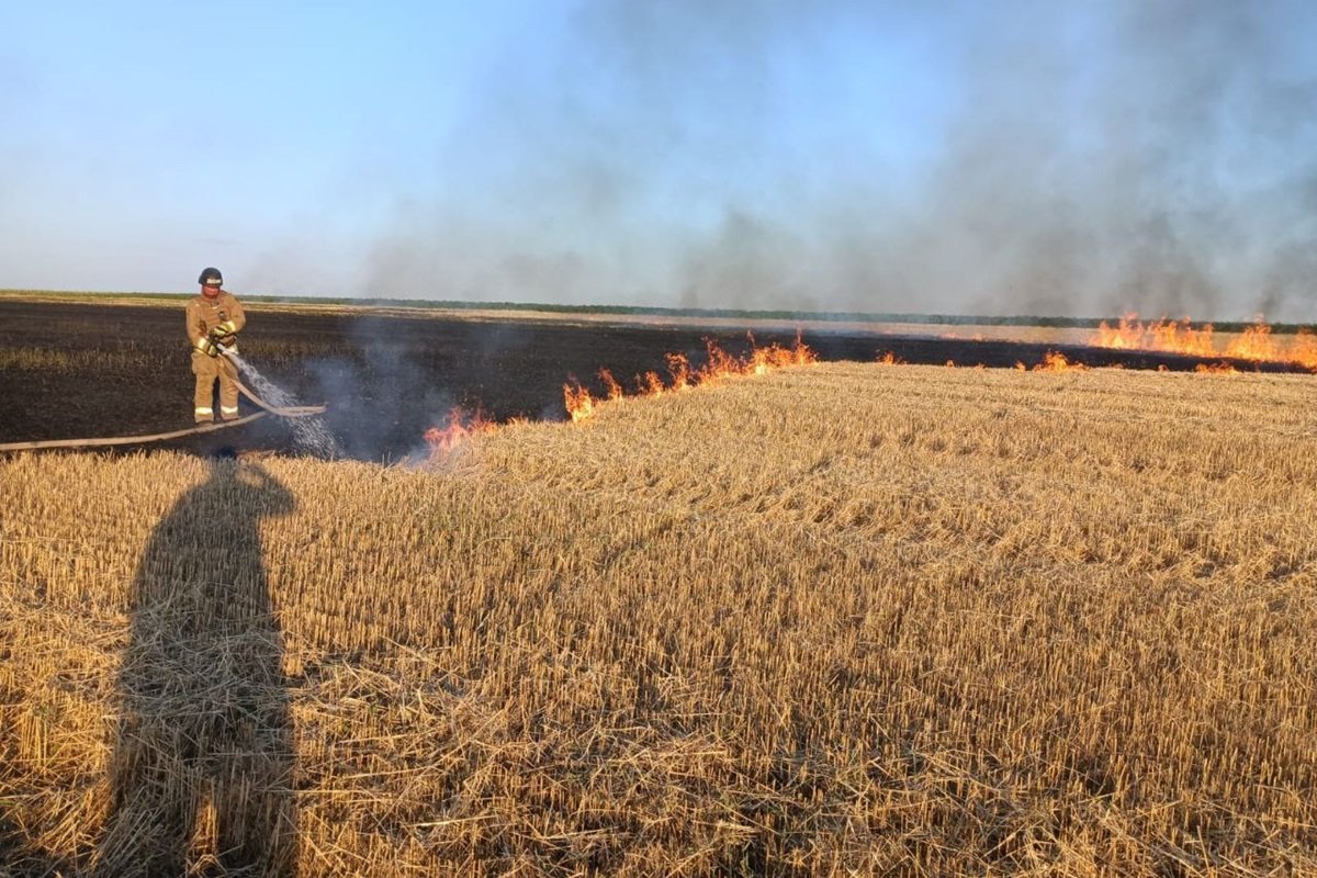 Горело поле пшеницы в Никопольском районе