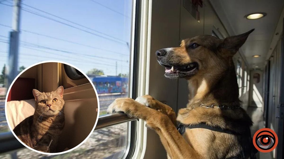 В Украине будут перевозить животных в поездах по-новому