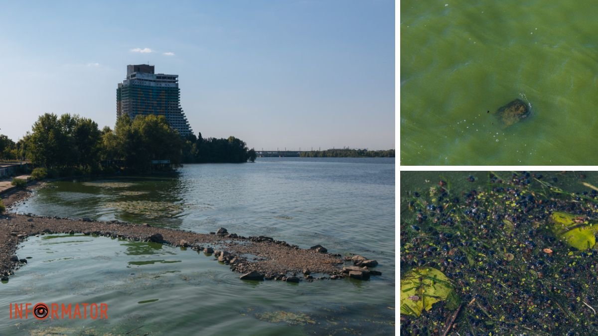 Неймовірний сморід, сміття і зелена вода: Дніпро «зацвів» вздовж Січеславської Набережної