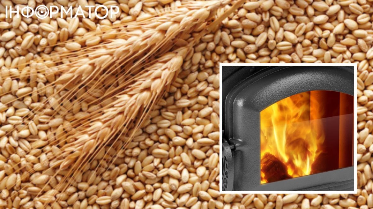 Україна слідом за Польщею починає використовувати зерно для опалення: яка в цьому доцільність
