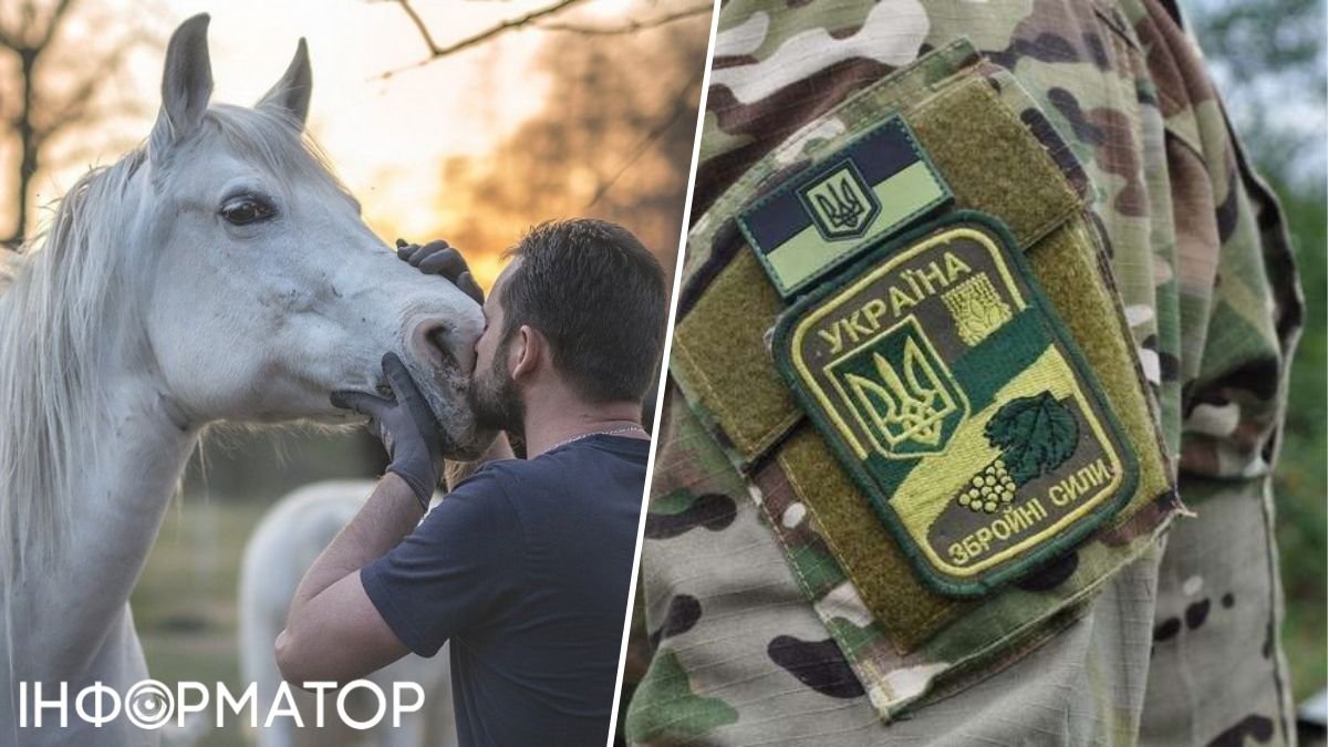 Українських ветеранів запрошують на терапію з кіньми