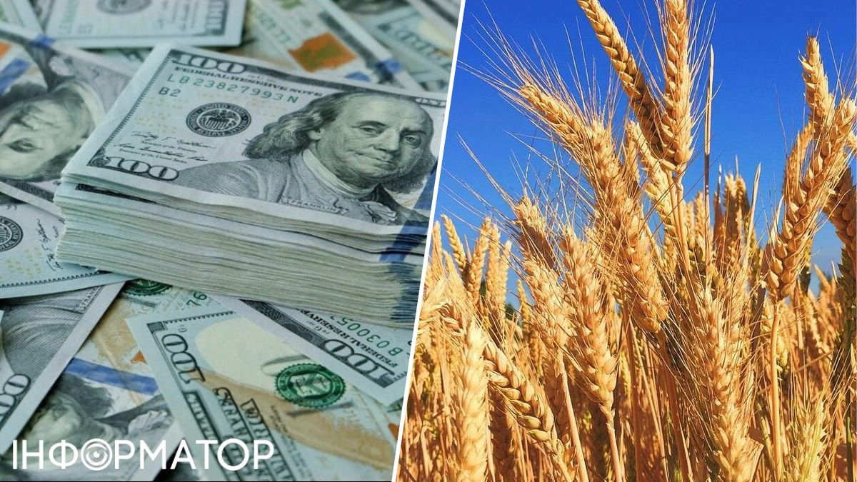 Украина теряет миллиарды долларов из-за "черного зерна" – The Economist