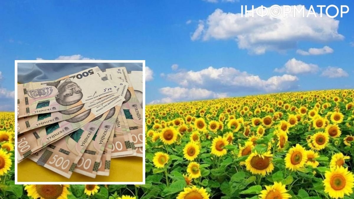 В Пенсионном фонде сообщили о выплате разовой денежной помощи украинцам ко Дню Независимости