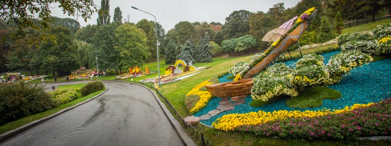 В Киеве открылась выставка хризантем: как это было