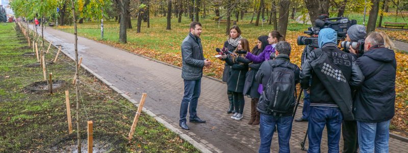 В Киеве чиновники демонстративно закопали сосны: узнай подробности