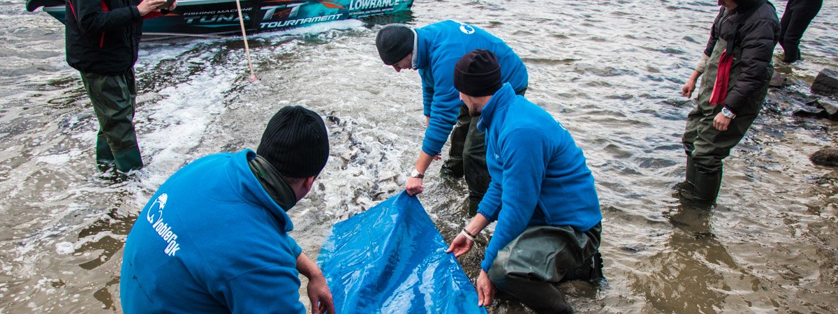 В Киеве в Днепр выпустили более 4 тонн мальков рыбы
