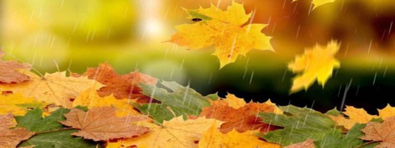 Погода на 11 ноября: в Киеве будет дождь