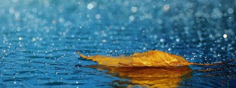 Погода на 13 ноября: в Киеве ожидается мелкий дождь