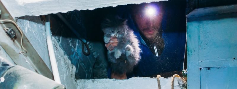 В Киеве мужчины лазили по мусоропроводу ради спасения котенка
