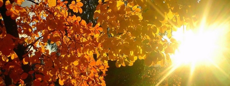 Погода на 23 ноября: в Киеве будет солнечно
