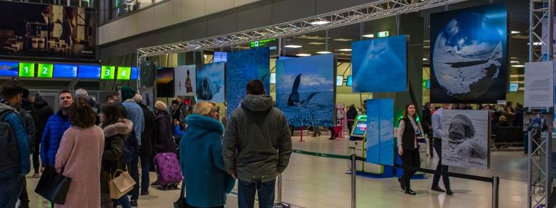 В аэропорту Киева красивыми фотографиями спасают обиженных медведей