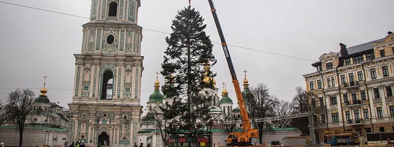 Новогоднее чудо: на Софийской площади установили елку