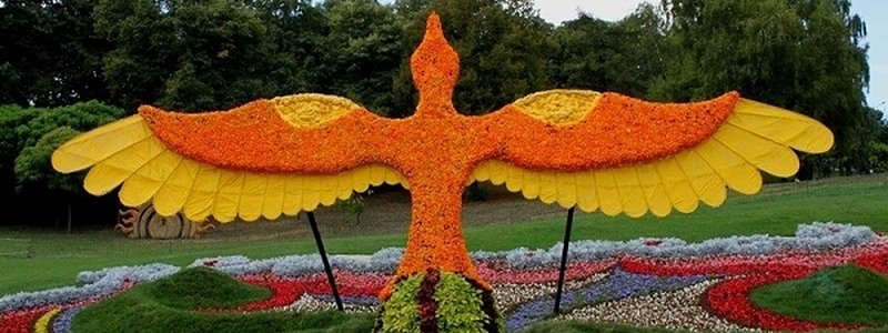 Кинотеатр под открытым небом, ярмарка цветов и арт-инсталляции: чем в Киеве удивит фестиваль хризантем