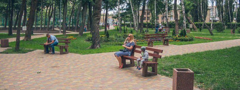В Киеве в парке "Сырецкий" вандалы выкопали свежевысаженные туи