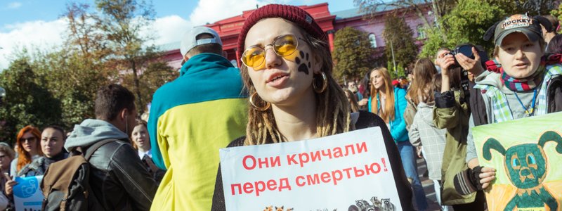 В центре Киева зооактивисты требовали запретить меховые шубы и цирки с животными