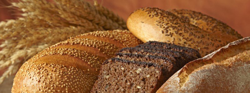 Збреження урожаю в Україні: небезпечний хліб та шкідливі бактерії у ньому