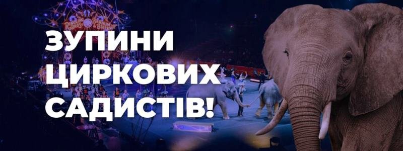 У Києві відбудеться акція за цирк без тварин: Кобзов повертає знущання