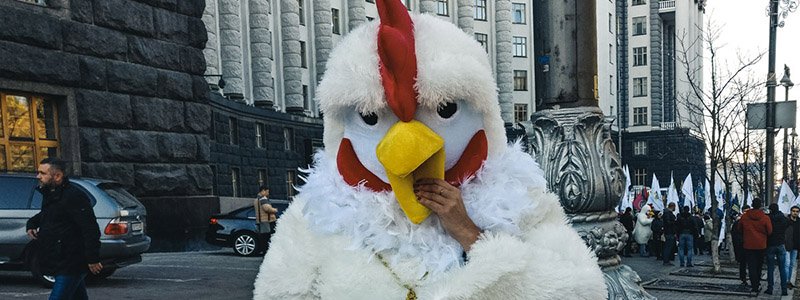 В Киеве сотни националистов и огромные курицы пришли под Кабмин: что требуют митингующие