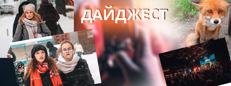 Спасение лисенка, приезд фронтмена Rammstein и цены на новогодние елки в Киеве: ТОП хороших новостей недели