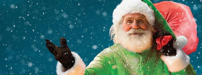 Сколько сантиметров у "зеленого" Деда Мороза: чем удивит новогодний эко-парад в Киеве