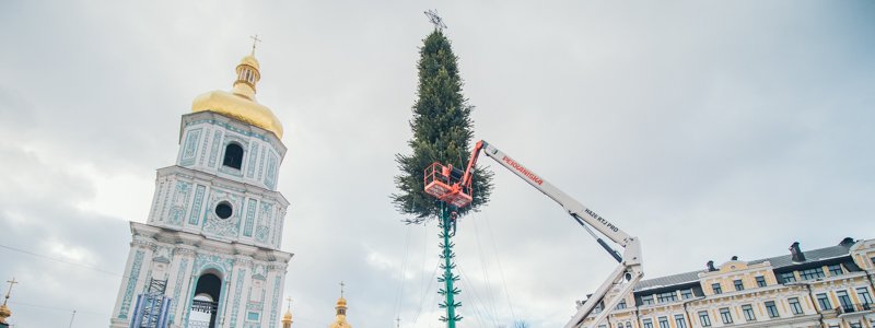 В Киеве на Софийской площади начали устанавливать главную елку страны: как выглядит с высоты